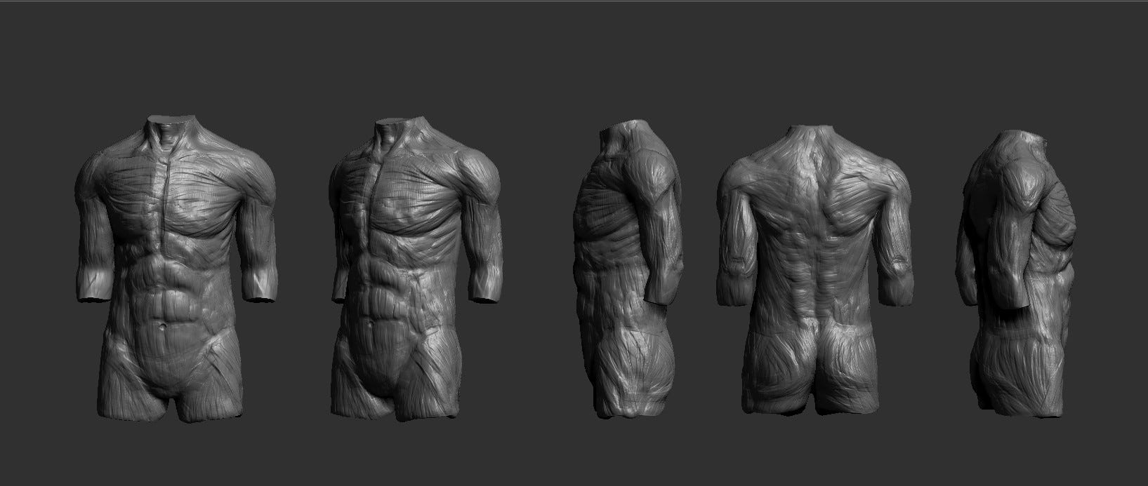 Study of a male torso, sculpted in ZBrush.